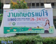 university Banner in chiang mai
