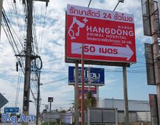 Banner vinyl printing in chiangmai